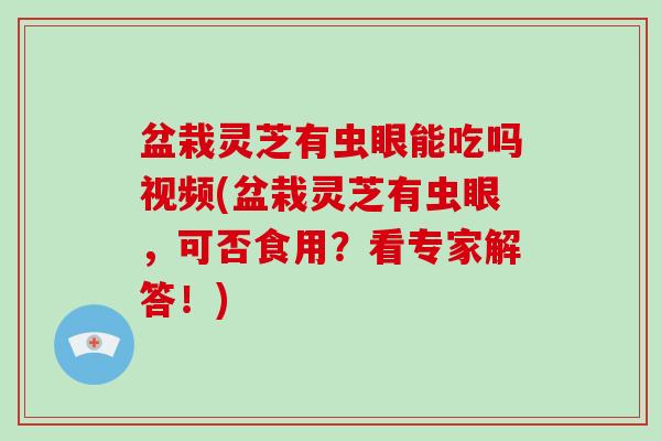 盆栽灵芝有虫眼能吃吗视频(盆栽灵芝有虫眼,可否食用?看专家解答!)-第1张图片-破壁灵芝孢子粉研究指南 盆栽灵芝有虫眼能吃吗视频(盆栽灵芝有虫眼,可否食用?看专家解答!)-第1张图片-破壁灵芝孢子粉研究指南