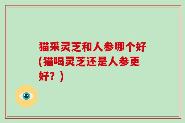 猫采灵芝和人参哪个好(猫喝灵芝还是人参更好?)-第1张图片-破壁灵芝孢子粉研究指南 猫采灵芝和人参哪个好(猫喝灵芝还是人参更好?)-第1张图片-破壁灵芝孢子粉研究指南
