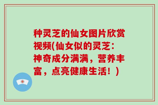 种灵芝的仙女图片欣赏视频(仙女似的灵芝:神奇成分满满,营养丰富,点亮健康生活!)-第1张图片-破壁灵芝孢子粉研究指南 种灵芝的仙女图片欣赏视频(仙女似的灵芝:神奇成分满满,营养丰富,点亮健康生活!)-第1张图片-破壁灵芝孢子粉研究指南