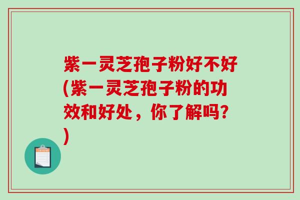 紫一灵芝孢子粉好不好(紫一灵芝孢子粉的功效和好处，你了解吗？)-第1张图片-破壁灵芝孢子粉研究指南