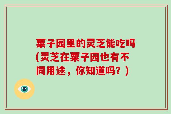粟子园里的灵芝能吃吗(灵芝在粟子园也有不同用途,你知道吗?)-第1张图片-破壁灵芝孢子粉研究指南 粟子园里的灵芝能吃吗(灵芝在粟子园也有不同用途,你知道吗?)-第1张图片-破壁灵芝孢子粉研究指南