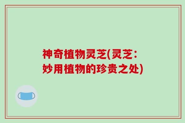 神奇植物灵芝(灵芝:妙用植物的珍贵之处)-第1张图片-破壁灵芝孢子粉研究指南 神奇植物灵芝(灵芝:妙用植物的珍贵之处)-第1张图片-破壁灵芝孢子粉研究指南