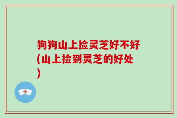 狗狗山上捡灵芝好不好(山上捡到灵芝的好处)-第1张图片-破壁灵芝孢子粉研究指南 狗狗山上捡灵芝好不好(山上捡到灵芝的好处)-第1张图片-破壁灵芝孢子粉研究指南