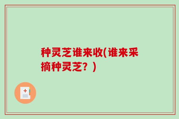 种灵芝谁来收(谁来采摘种灵芝?)-第1张图片-破壁灵芝孢子粉研究指南 种灵芝谁来收(谁来采摘种灵芝?)-第1张图片-破壁灵芝孢子粉研究指南