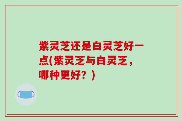 紫灵芝还是白灵芝好一点(紫灵芝与白灵芝,哪种更好?)-第1张图片-破壁灵芝孢子粉研究指南 紫灵芝还是白灵芝好一点(紫灵芝与白灵芝,哪种更好?)-第1张图片-破壁灵芝孢子粉研究指南