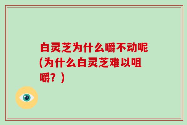 白灵芝为什么嚼不动呢(为什么白灵芝难以咀嚼?)-第1张图片-破壁灵芝孢子粉研究指南 白灵芝为什么嚼不动呢(为什么白灵芝难以咀嚼?)-第1张图片-破壁灵芝孢子粉研究指南