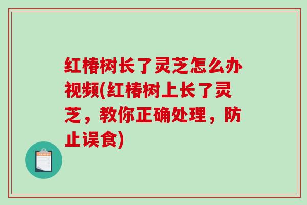 红椿树长了灵芝怎么办视频(红椿树上长了灵芝,教你正确处理,防止误食)-第1张图片-破壁灵芝孢子粉研究指南 红椿树长了灵芝怎么办视频(红椿树上长了灵芝,教你正确处理,防止误食)-第1张图片-破壁灵芝孢子粉研究指南