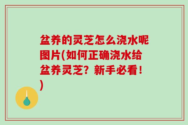 盆养的灵芝怎么浇水呢图片(如何正确浇水给盆养灵芝?新手必看!)-第1张图片-破壁灵芝孢子粉研究指南 盆养的灵芝怎么浇水呢图片(如何正确浇水给盆养灵芝?新手必看!)-第1张图片-破壁灵芝孢子粉研究指南