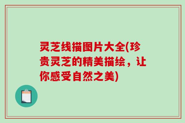 灵芝线描图片大全(珍贵灵芝的精美描绘，让你感受自然之美)-第1张图片-破壁灵芝孢子粉研究指南