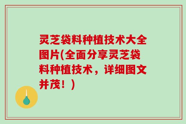 灵芝袋料种植技术大全图片(全面分享灵芝袋料种植技术,详细图文并茂!)-第1张图片-破壁灵芝孢子粉研究指南 灵芝袋料种植技术大全图片(全面分享灵芝袋料种植技术,详细图文并茂!)-第1张图片-破壁灵芝孢子粉研究指南
