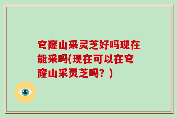 穹窿山采灵芝好吗现在能采吗(现在可以在穹窿山采灵芝吗？)-第1张图片-破壁灵芝孢子粉研究指南