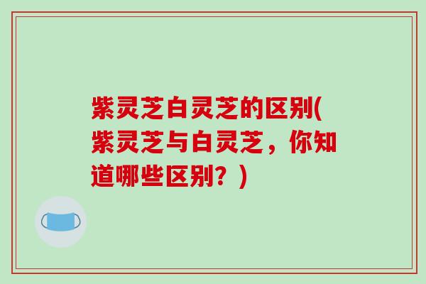 紫灵芝白灵芝的区别(紫灵芝与白灵芝，你知道哪些区别？)-第1张图片-破壁灵芝孢子粉研究指南