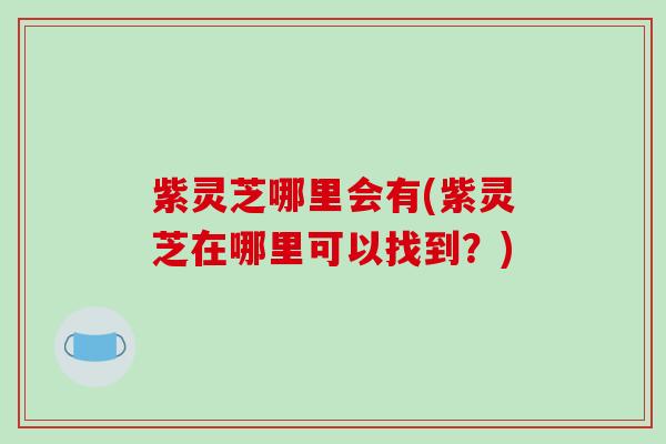 紫灵芝哪里会有(紫灵芝在哪里可以找到？)-第1张图片-破壁灵芝孢子粉研究指南