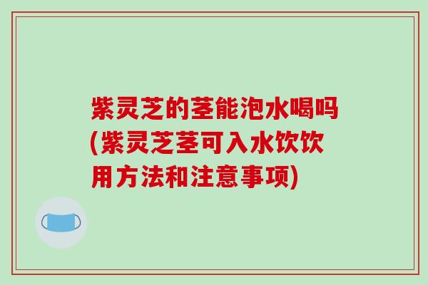 紫灵芝的茎能泡水喝吗(紫灵芝茎可入水饮饮用方法和注意事项)-第1张图片-破壁灵芝孢子粉研究指南