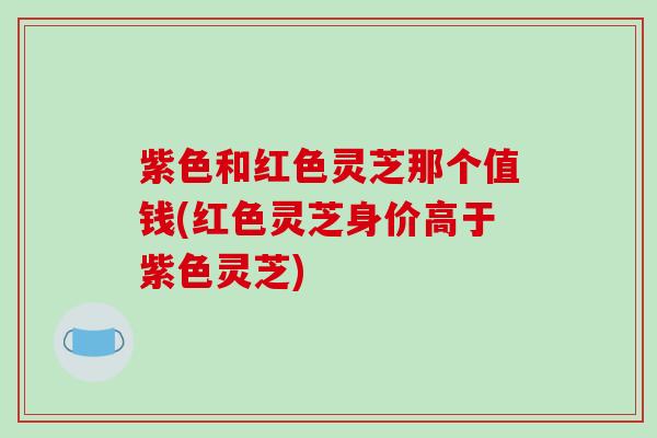 紫色和红色灵芝那个值钱(红色灵芝身价高于紫色灵芝)-第1张图片-破壁灵芝孢子粉研究指南 紫色和红色灵芝那个值钱(红色灵芝身价高于紫色灵芝)-第1张图片-破壁灵芝孢子粉研究指南