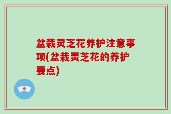 盆栽灵芝花养护注意事项(盆栽灵芝花的养护要点)-第1张图片-破壁灵芝孢子粉研究指南