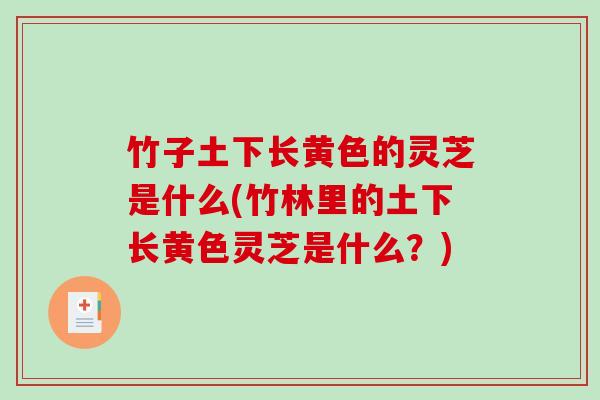 竹子土下长黄色的灵芝是什么(竹林里的土下长黄色灵芝是什么？)-第1张图片-破壁灵芝孢子粉研究指南