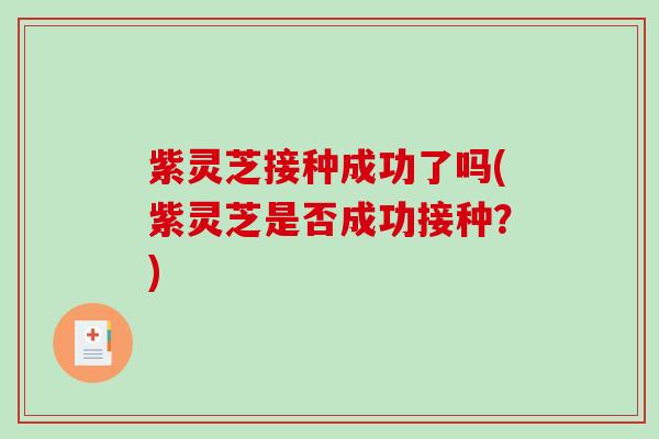 紫灵芝接种成功了吗(紫灵芝是否成功接种？)-第1张图片-破壁灵芝孢子粉研究指南