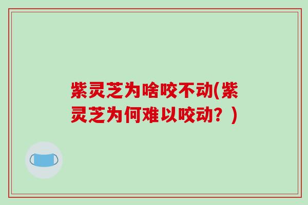 紫灵芝为啥咬不动(紫灵芝为何难以咬动？)-第1张图片-破壁灵芝孢子粉研究指南