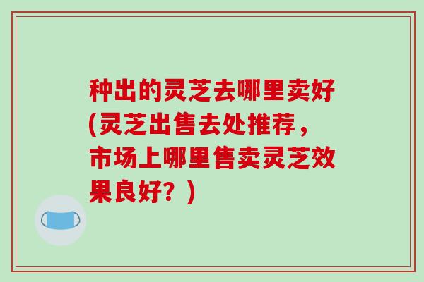 种出的灵芝去哪里卖好(灵芝出售去处推荐,市场上哪里售卖灵芝效果良好?)-第1张图片-破壁灵芝孢子粉研究指南 种出的灵芝去哪里卖好(灵芝出售去处推荐,市场上哪里售卖灵芝效果良好?)-第1张图片-破壁灵芝孢子粉研究指南