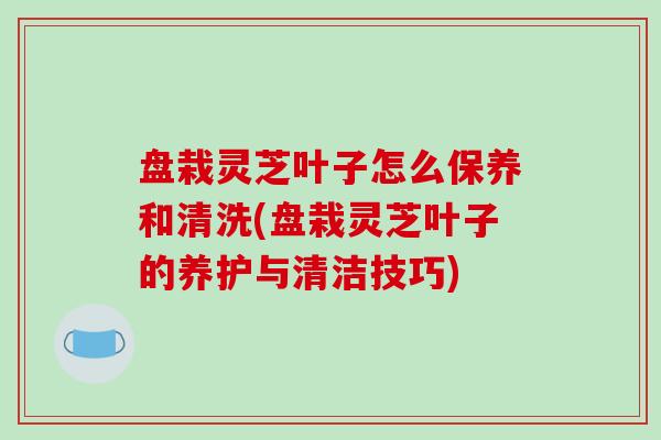盘栽灵芝叶子怎么保养和清洗(盘栽灵芝叶子的养护与清洁技巧)-第1张图片-破壁灵芝孢子粉研究指南 盘栽灵芝叶子怎么保养和清洗(盘栽灵芝叶子的养护与清洁技巧)-第1张图片-破壁灵芝孢子粉研究指南