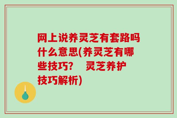 网上说养灵芝有套路吗什么意思(养灵芝有哪些技巧？  灵芝养护技巧解析)-第1张图片-破壁灵芝孢子粉研究指南