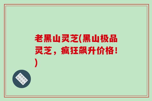 老黑山灵芝(黑山极品灵芝，疯狂飙升价格！)-第1张图片-破壁灵芝孢子粉研究指南