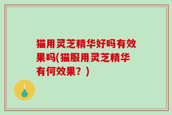 猫用灵芝精华好吗有效果吗(猫服用灵芝精华有何效果?)-第1张图片-破壁灵芝孢子粉研究指南 猫用灵芝精华好吗有效果吗(猫服用灵芝精华有何效果?)-第1张图片-破壁灵芝孢子粉研究指南
