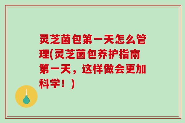灵芝菌包第一天怎么管理(灵芝菌包养护指南第一天,这样做会更加科学!)-第1张图片-破壁灵芝孢子粉研究指南 灵芝菌包第一天怎么管理(灵芝菌包养护指南第一天,这样做会更加科学!)-第1张图片-破壁灵芝孢子粉研究指南