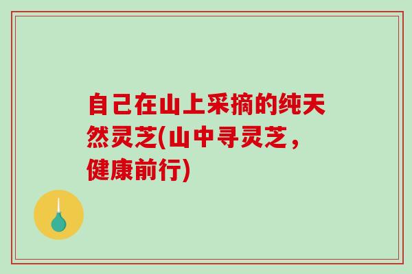 自己在山上采摘的纯天然灵芝(山中寻灵芝,健康前行)-第1张图片-破壁灵芝孢子粉研究指南 自己在山上采摘的纯天然灵芝(山中寻灵芝,健康前行)-第1张图片-破壁灵芝孢子粉研究指南