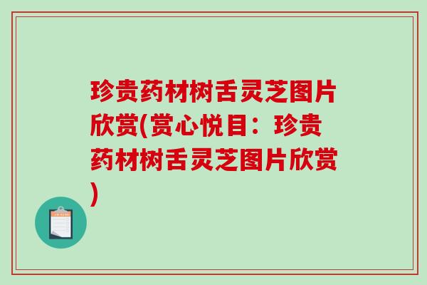 珍贵药材树舌灵芝图片欣赏(赏心悦目:珍贵药材树舌灵芝图片欣赏)-第1张图片-破壁灵芝孢子粉研究指南 珍贵药材树舌灵芝图片欣赏(赏心悦目:珍贵药材树舌灵芝图片欣赏)-第1张图片-破壁灵芝孢子粉研究指南