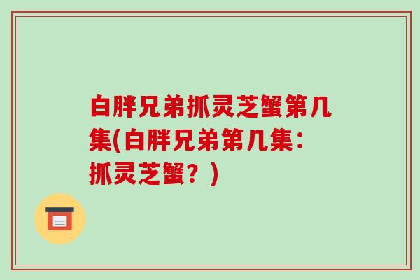 白胖兄弟抓灵芝蟹第几集(白胖兄弟第几集：抓灵芝蟹？)-第1张图片-破壁灵芝孢子粉研究指南