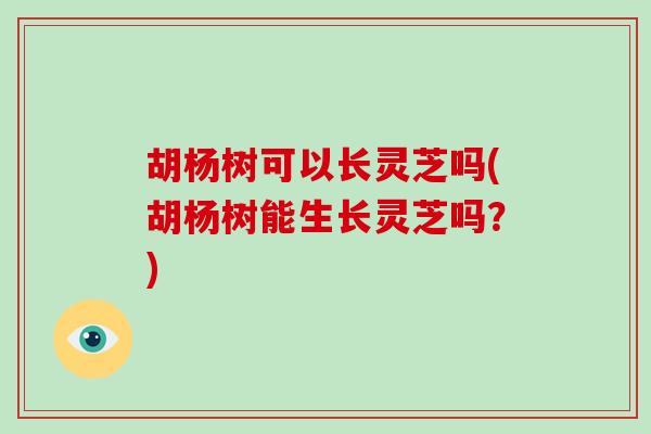 胡杨树可以长灵芝吗(胡杨树能生长灵芝吗？)-第1张图片-破壁灵芝孢子粉研究指南