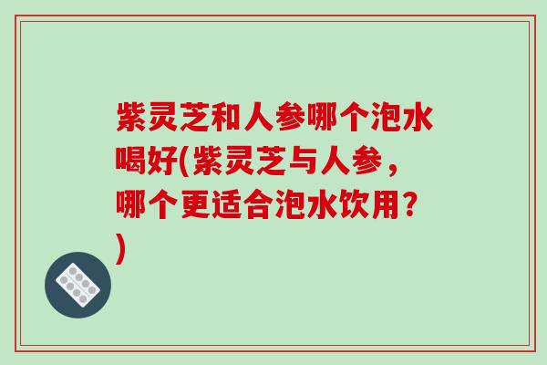 紫灵芝和人参哪个泡水喝好(紫灵芝与人参，哪个更适合泡水饮用？)-第1张图片-破壁灵芝孢子粉研究指南