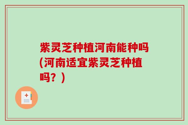紫灵芝种植河南能种吗(河南适宜紫灵芝种植吗?)-第1张图片-破壁灵芝孢子粉研究指南 紫灵芝种植河南能种吗(河南适宜紫灵芝种植吗?)-第1张图片-破壁灵芝孢子粉研究指南