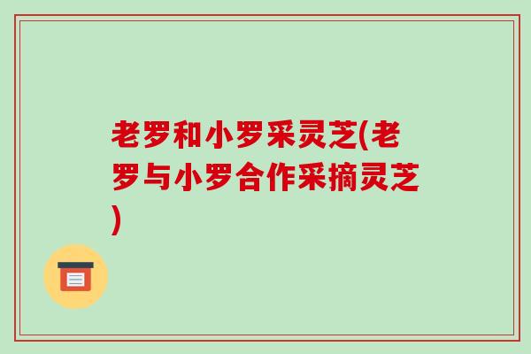 老罗和小罗采灵芝(老罗与小罗合作采摘灵芝)-第1张图片-破壁灵芝孢子粉研究指南 老罗和小罗采灵芝(老罗与小罗合作采摘灵芝)-第1张图片-破壁灵芝孢子粉研究指南