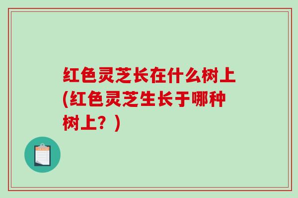 红色灵芝长在什么树上(红色灵芝生长于哪种树上?)-第1张图片-破壁灵芝孢子粉研究指南 红色灵芝长在什么树上(红色灵芝生长于哪种树上?)-第1张图片-破壁灵芝孢子粉研究指南