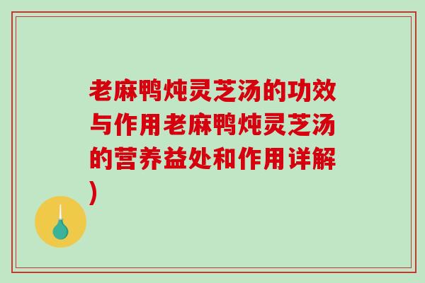 老麻鸭炖灵芝汤的功效与作用老麻鸭炖灵芝汤的营养益处和作用详解)-第1张图片-破壁灵芝孢子粉研究指南 老麻鸭炖灵芝汤的功效与作用老麻鸭炖灵芝汤的营养益处和作用详解)-第1张图片-破壁灵芝孢子粉研究指南