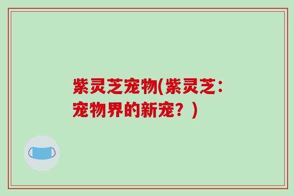 紫灵芝宠物(紫灵芝:宠物界的新宠?)-第1张图片-破壁灵芝孢子粉研究指南 紫灵芝宠物(紫灵芝:宠物界的新宠?)-第1张图片-破壁灵芝孢子粉研究指南