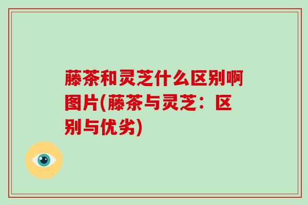 藤茶和灵芝什么区别啊图片(藤茶与灵芝:区别与优劣)-第1张图片-破壁灵芝孢子粉研究指南 藤茶和灵芝什么区别啊图片(藤茶与灵芝:区别与优劣)-第1张图片-破壁灵芝孢子粉研究指南