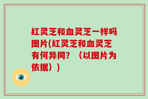 红灵芝和血灵芝一样吗图片(红灵芝和血灵芝有何异同?(以图片为依据))-第1张图片-破壁灵芝孢子粉研究指南 红灵芝和血灵芝一样吗图片(红灵芝和血灵芝有何异同?(以图片为依据))-第1张图片-破壁灵芝孢子粉研究指南