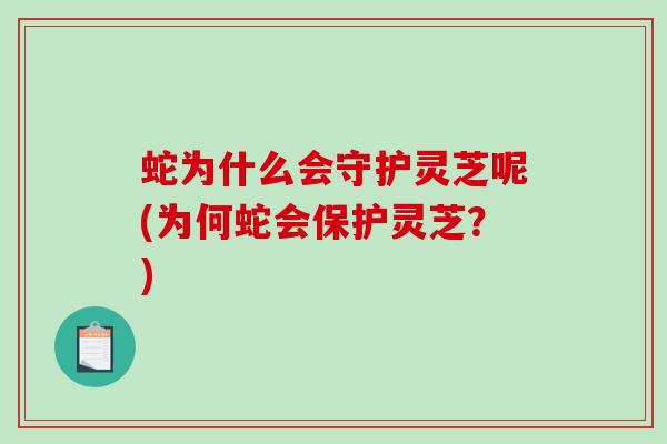 蛇为什么会守护灵芝呢(为何蛇会保护灵芝？)-第1张图片-破壁灵芝孢子粉研究指南