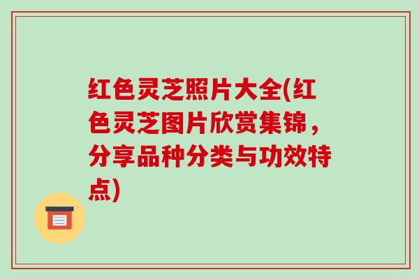 红色灵芝照片大全(红色灵芝图片欣赏集锦,分享品种分类与功效特点)-第1张图片-破壁灵芝孢子粉研究指南 红色灵芝照片大全(红色灵芝图片欣赏集锦,分享品种分类与功效特点)-第1张图片-破壁灵芝孢子粉研究指南
