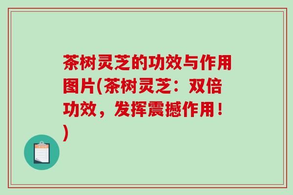 茶树灵芝的功效与作用图片(茶树灵芝:双倍功效,发挥震撼作用!)-第1张图片-破壁灵芝孢子粉研究指南 茶树灵芝的功效与作用图片(茶树灵芝:双倍功效,发挥震撼作用!)-第1张图片-破壁灵芝孢子粉研究指南