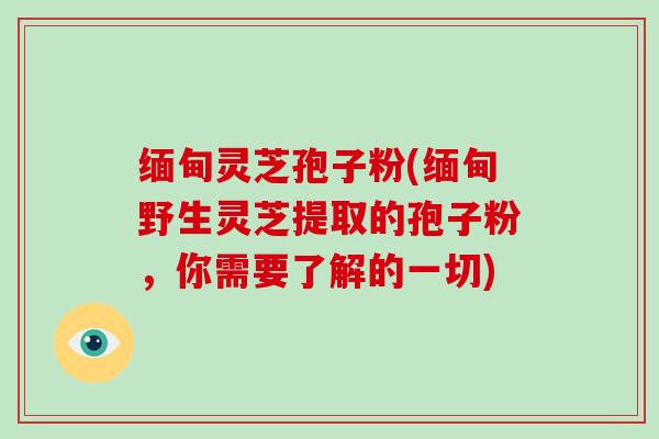 缅甸灵芝孢子粉(缅甸野生灵芝提取的孢子粉,你需要了解的一切)-第1张图片-破壁灵芝孢子粉研究指南 缅甸灵芝孢子粉(缅甸野生灵芝提取的孢子粉,你需要了解的一切)-第1张图片-破壁灵芝孢子粉研究指南
