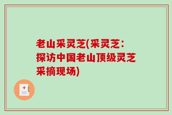 老山采灵芝(采灵芝:探访中国老山顶级灵芝采摘现场)-第1张图片-破壁灵芝孢子粉研究指南 老山采灵芝(采灵芝:探访中国老山顶级灵芝采摘现场)-第1张图片-破壁灵芝孢子粉研究指南