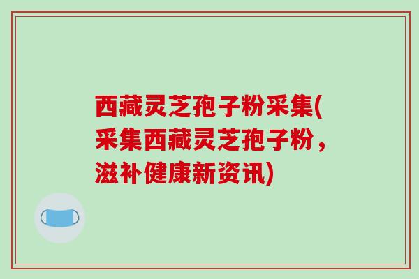 西藏灵芝孢子粉采集(采集西藏灵芝孢子粉，滋补健康新资讯)-第1张图片-破壁灵芝孢子粉研究指南