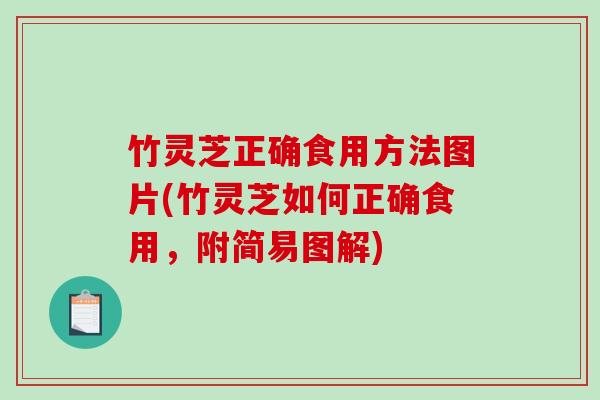 竹灵芝正确食用方法图片(竹灵芝如何正确食用,附简易图解)-第1张图片-破壁灵芝孢子粉研究指南 竹灵芝正确食用方法图片(竹灵芝如何正确食用,附简易图解)-第1张图片-破壁灵芝孢子粉研究指南