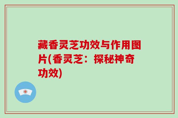 藏香灵芝功效与作用图片(香灵芝:探秘神奇功效)-第1张图片-破壁灵芝孢子粉研究指南 藏香灵芝功效与作用图片(香灵芝:探秘神奇功效)-第1张图片-破壁灵芝孢子粉研究指南