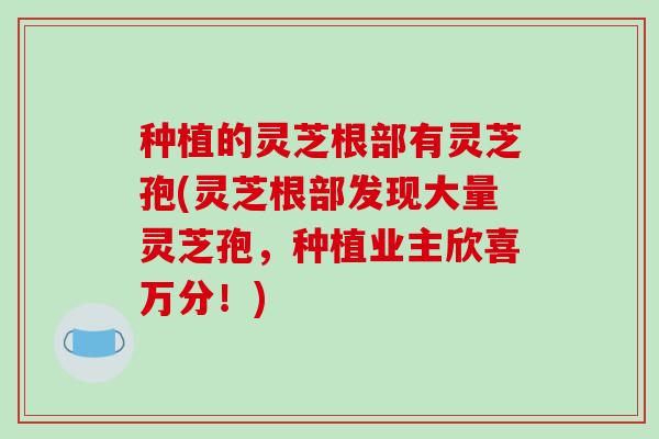 种植的灵芝根部有灵芝孢(灵芝根部发现大量灵芝孢，种植业主欣喜万分！)-第1张图片-破壁灵芝孢子粉研究指南